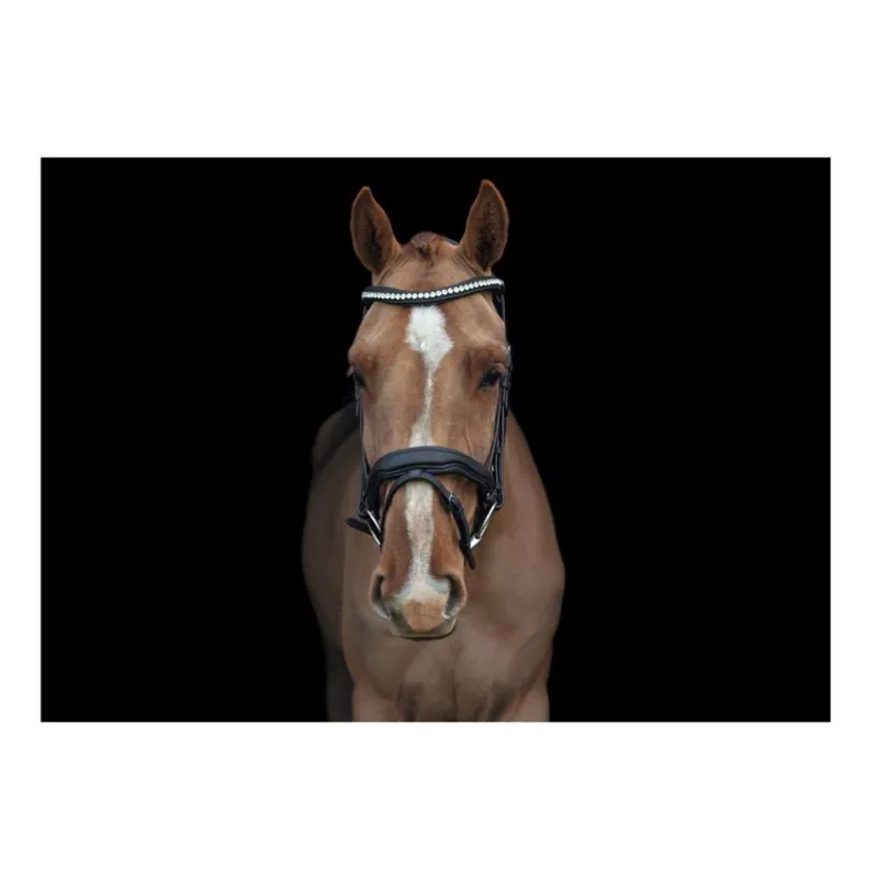 Cameo EcoRider Ultra Comfort Navan Bridle Full in Brown-1